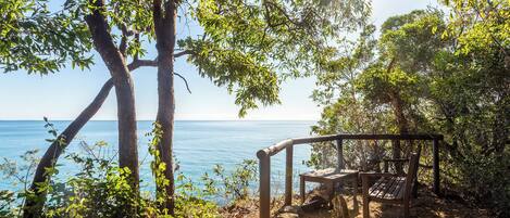A wooden bench overlooking a beach with trees and a clear sky.