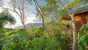 A wooden cabin with a covered porch, surrounded by lush greenery and mountains in the background. - Thala Beach Nature Reserve (Oak Beach)