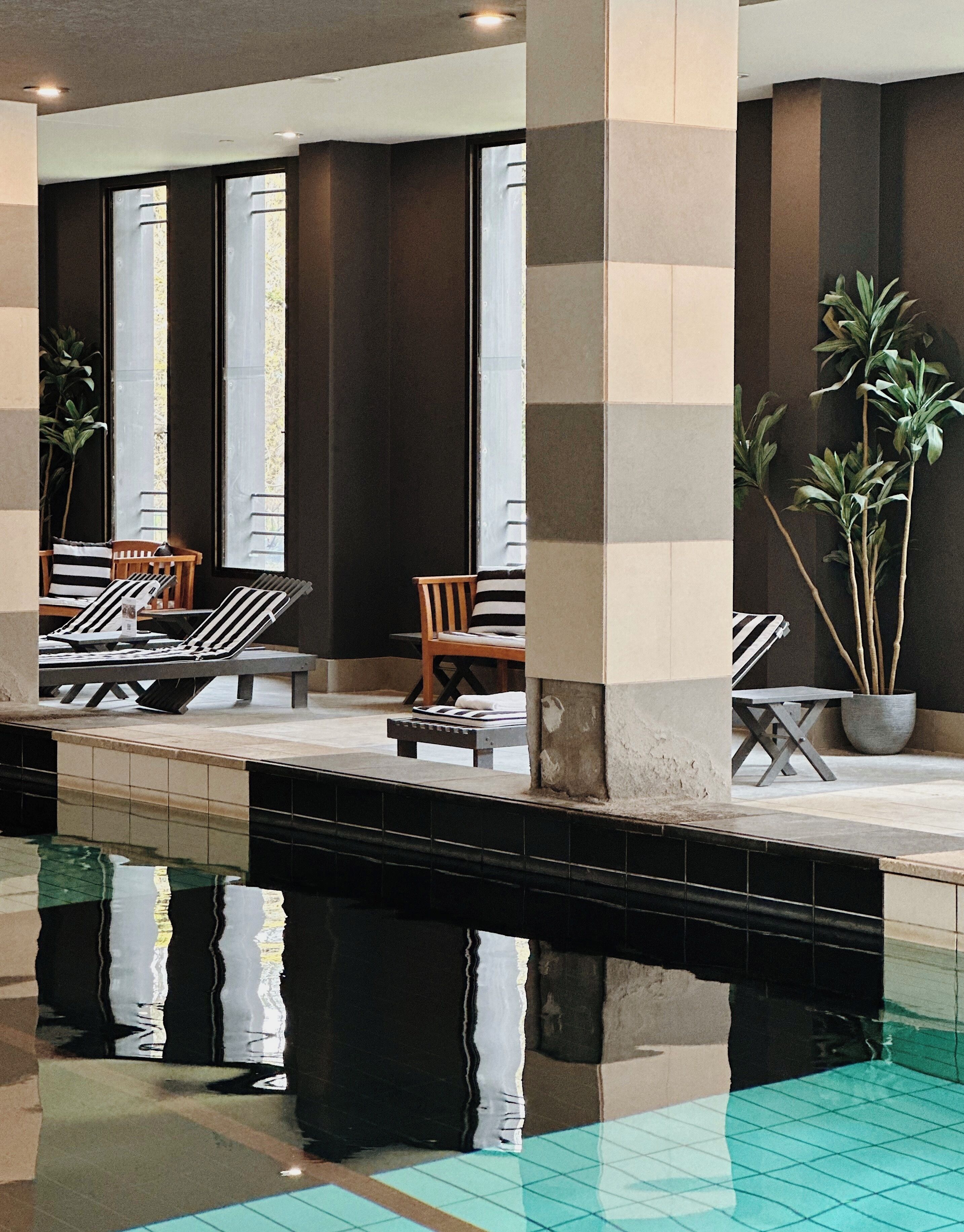 A pool area with lounge chairs and a potted plant.