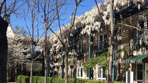 Filera d'edificis europeus tradicionals amb balcons i plantes penjants, cel blau clar i un camí de grava.