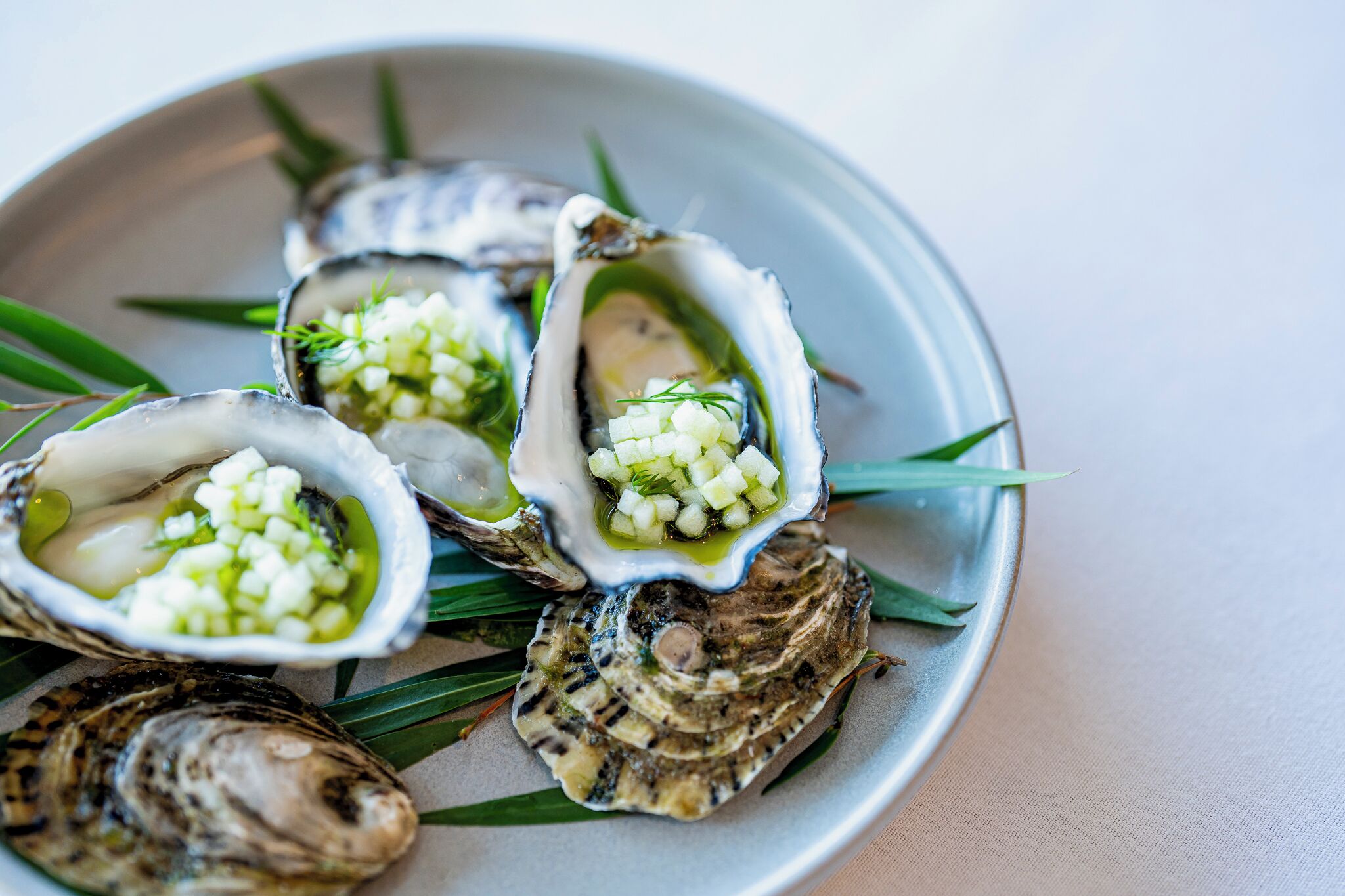 Une assiette d’huîtres, garnie d’oignons et d’herbes aromatiques coupés en dés.