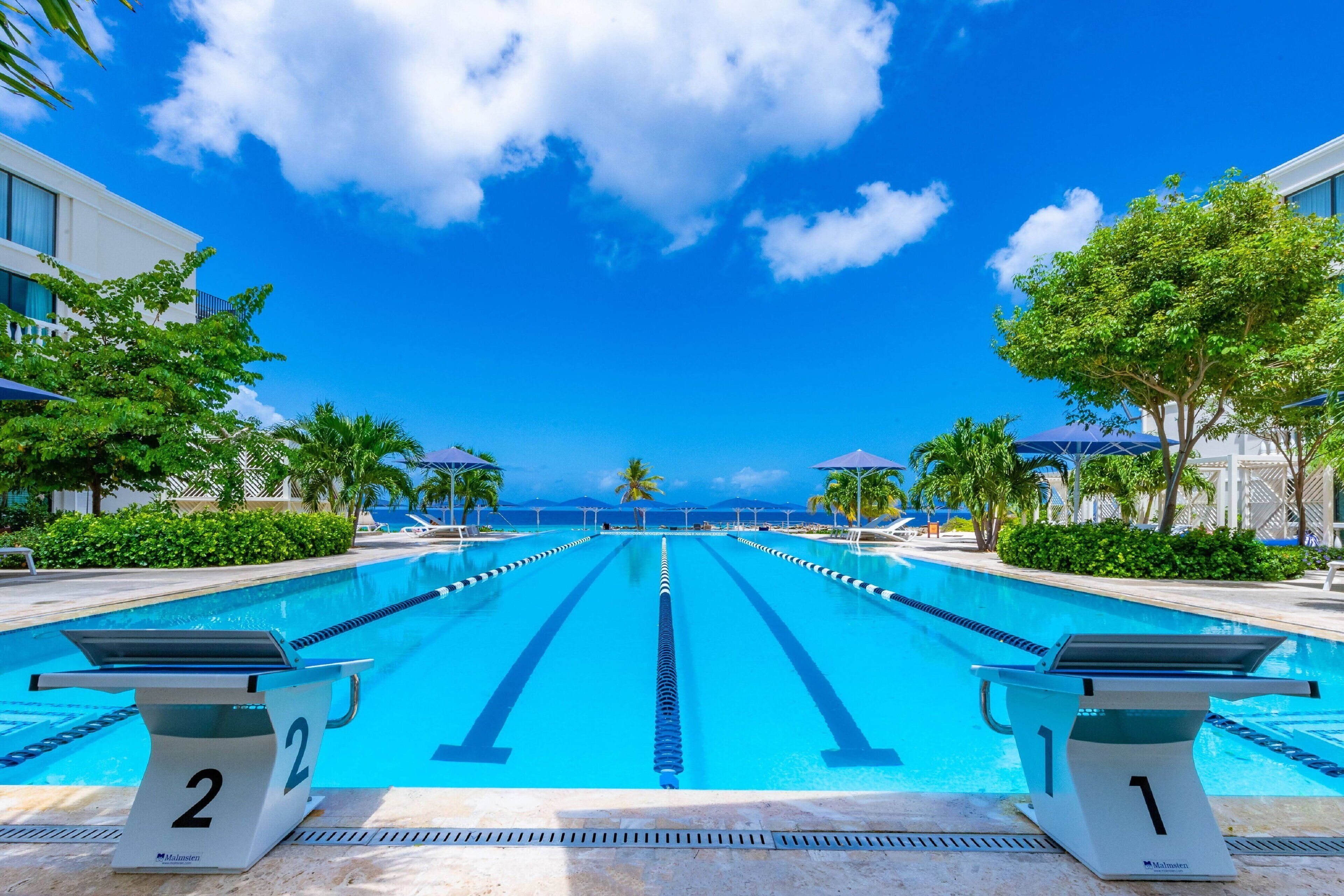 A swimming pool with lane markers, numbered starting from 1 to 2, surrounded by palm trees and lounge chairs.