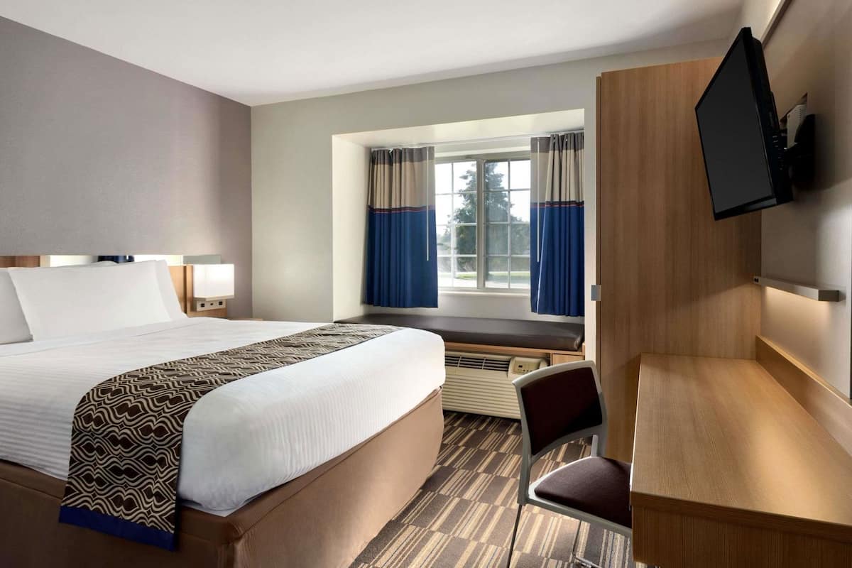 Una habitación de hotel con una cama, un escritorio, una silla, un televisor, un ventanal con cortinas y un calefactor.