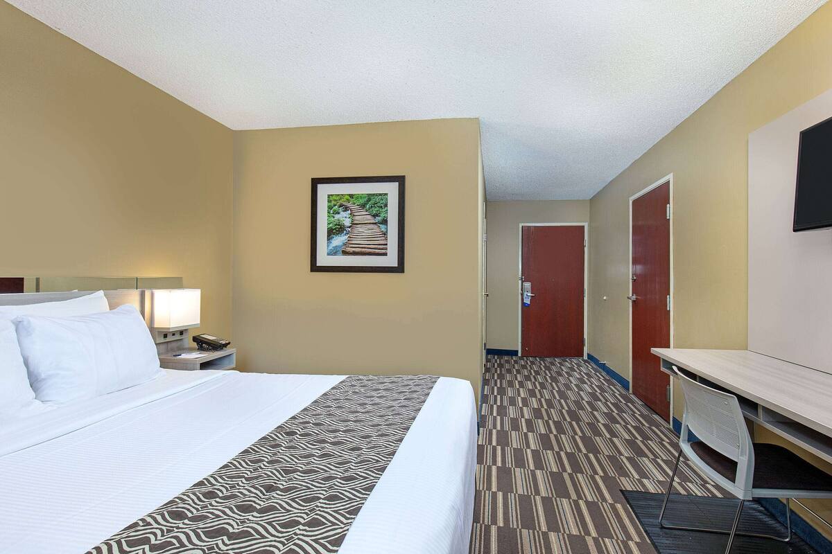 A hotel room with a bed, a desk, a chair, a nightstand, a lamp, and a framed picture on the wall.