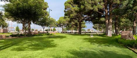 Um parque com grama verde, árvores e céu limpo.