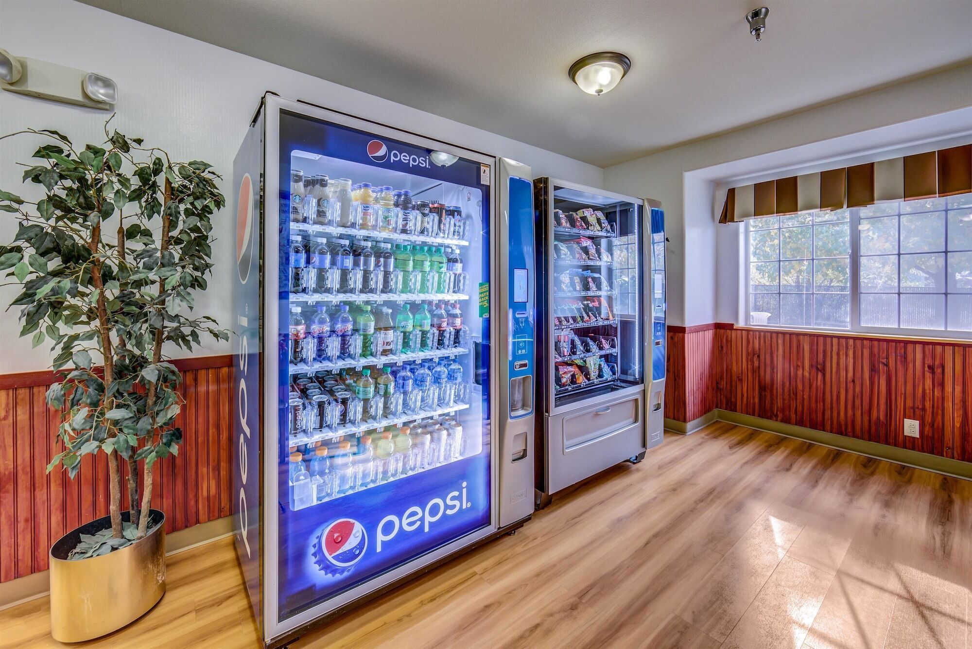 Zwei Pepsi-Automaten in einem Raum mit Holzwänden und einem großen Fenster.