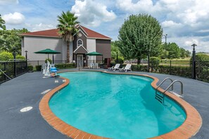 Una piscina al aire libre, sombrillas, sillones reclinables de piscina