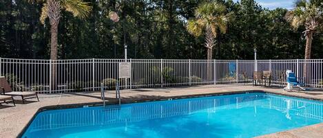 Una piscina rectangular con valla de metal blanco, rodeada de palmeras y un solárium de grava.