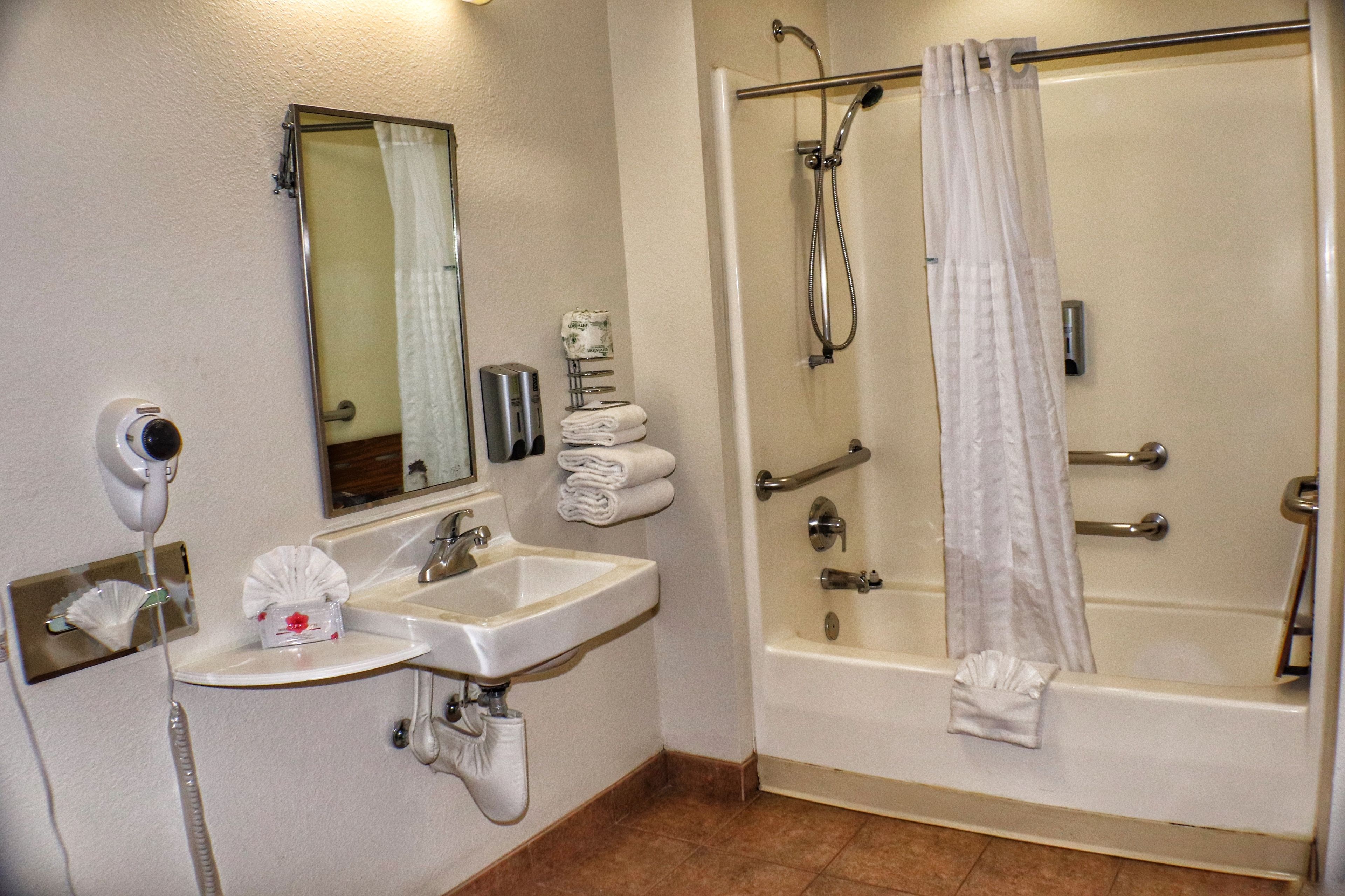room, 1 king bed, accessible, non smoking | bathroom | combined shower/bathtub, deep-soaking bathtub, rainfall showerhead