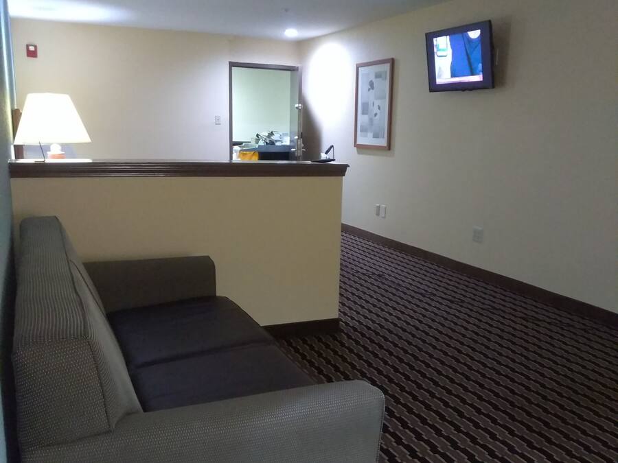 A hotel room with a sofa, a small table with a lamp, a television, and a patterned carpet.