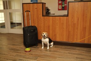 Check-in/check-out kiosk - Expo Inn Hotel (Tulsa)