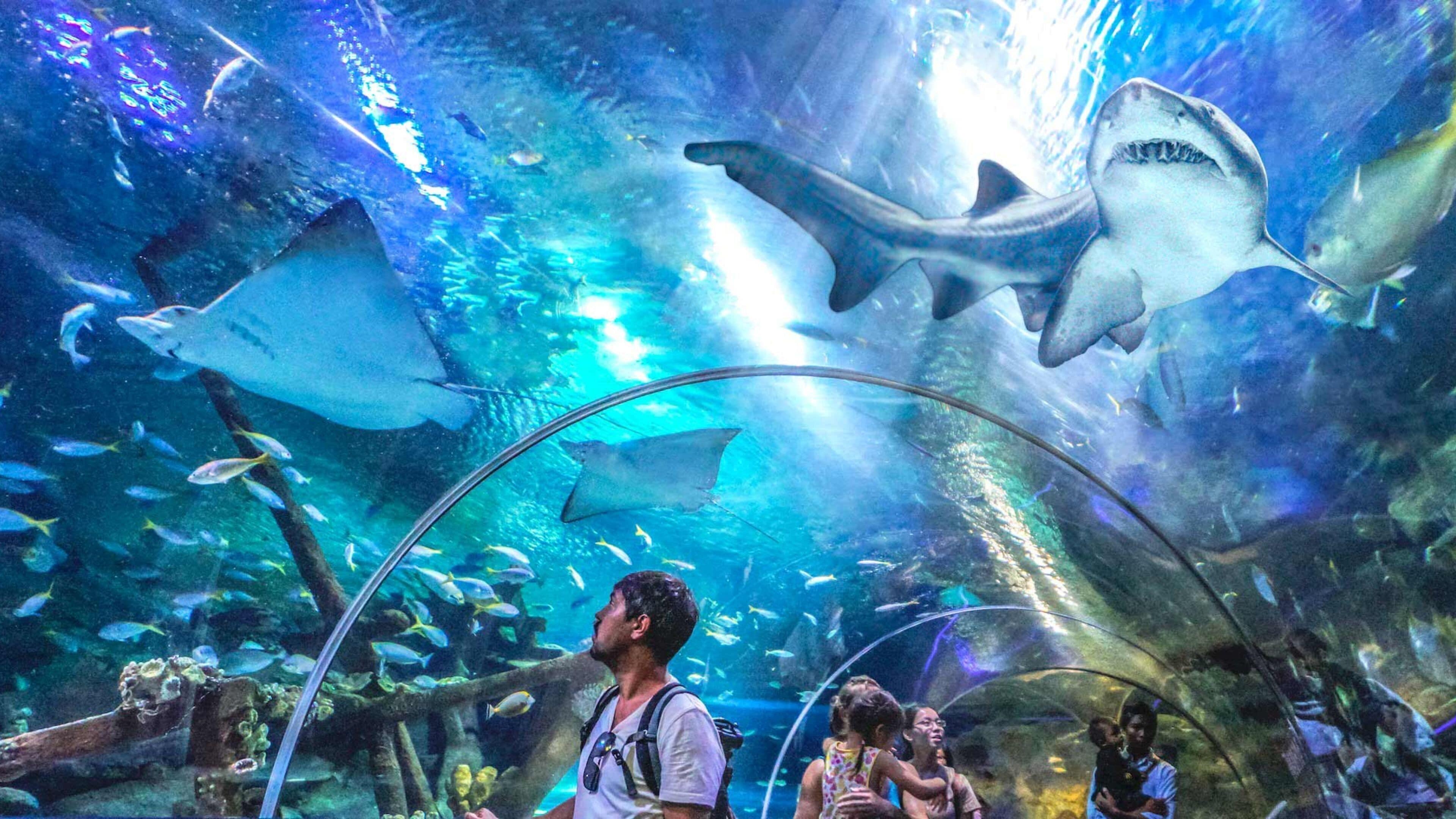 Foto - InterContinental Kuala Lumpur by IHG