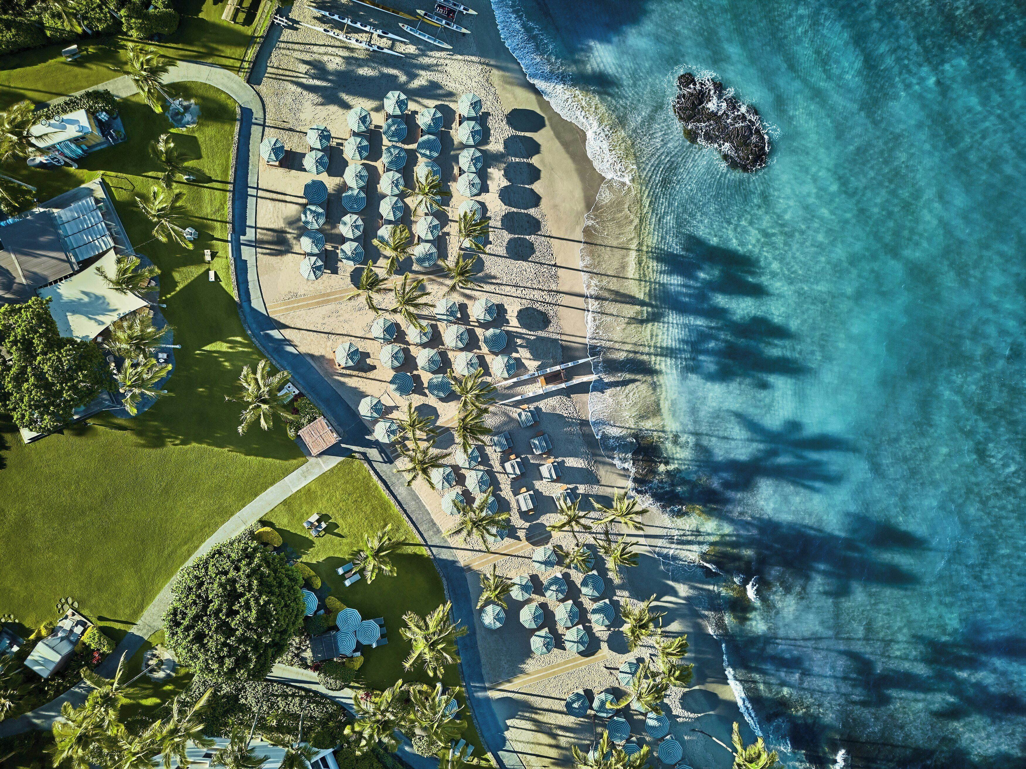Une vue aérienne d’un complexe hôtelier en bord de mer, avec des rangées de parasols, des palmiers et une vue dégagée sur l’océan.