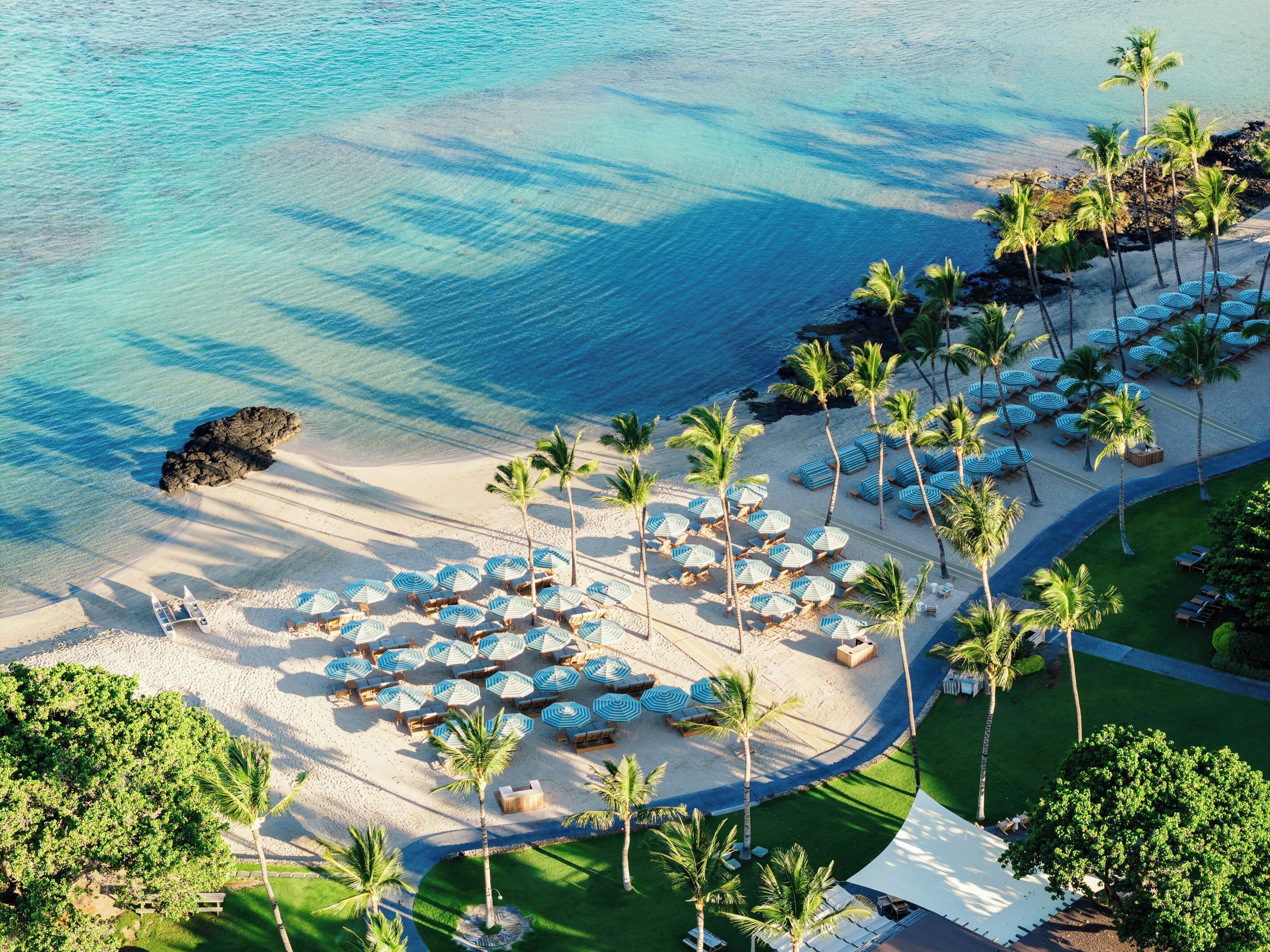 An aerial view of a beach resort with a sandy shoreline, palm trees, and rows of beach umbrellas and lounge chairs.