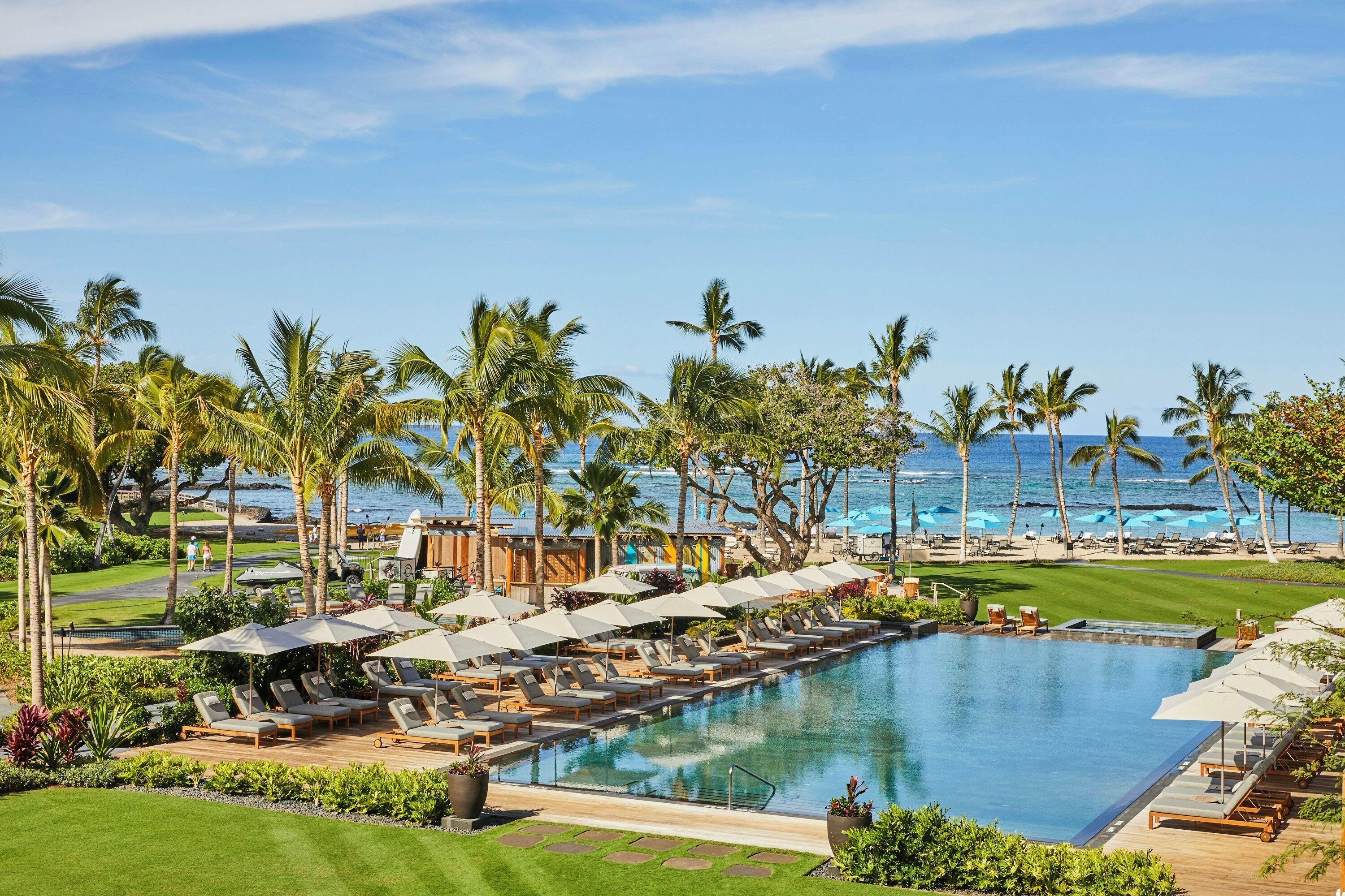 A resort pool with lounge chairs and umbrellas, palm trees, and a view of the ocean.