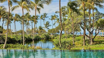 2 outdoor pools, pool cabanas (surcharge), pool umbrellas