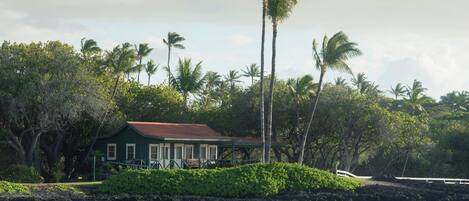 A coastal house with a red roof, surrounded by lush greenery and palm trees.