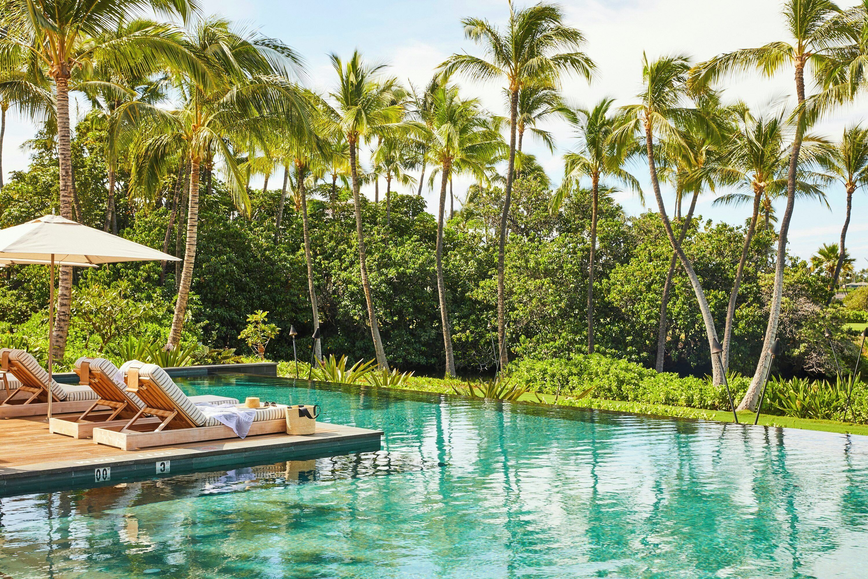 A pool with lounge chairs and an umbrella, surrounded by palm trees.