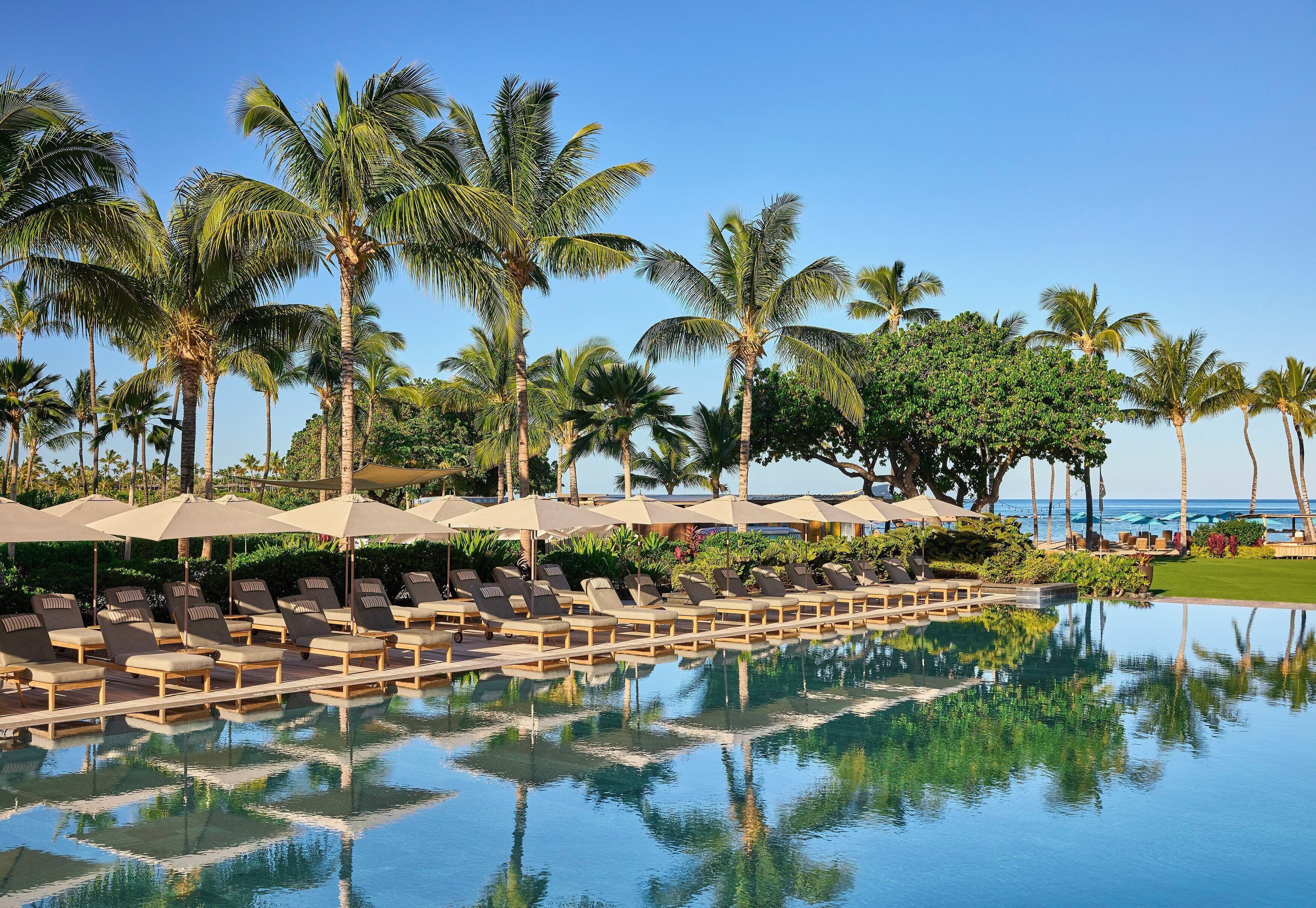 A poolside area with lounge chairs and umbrellas, palm trees, and a clear view of the ocean.
