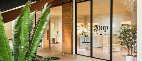 A modern interior with a large glass storefront, wooden beams, and indoor plants.