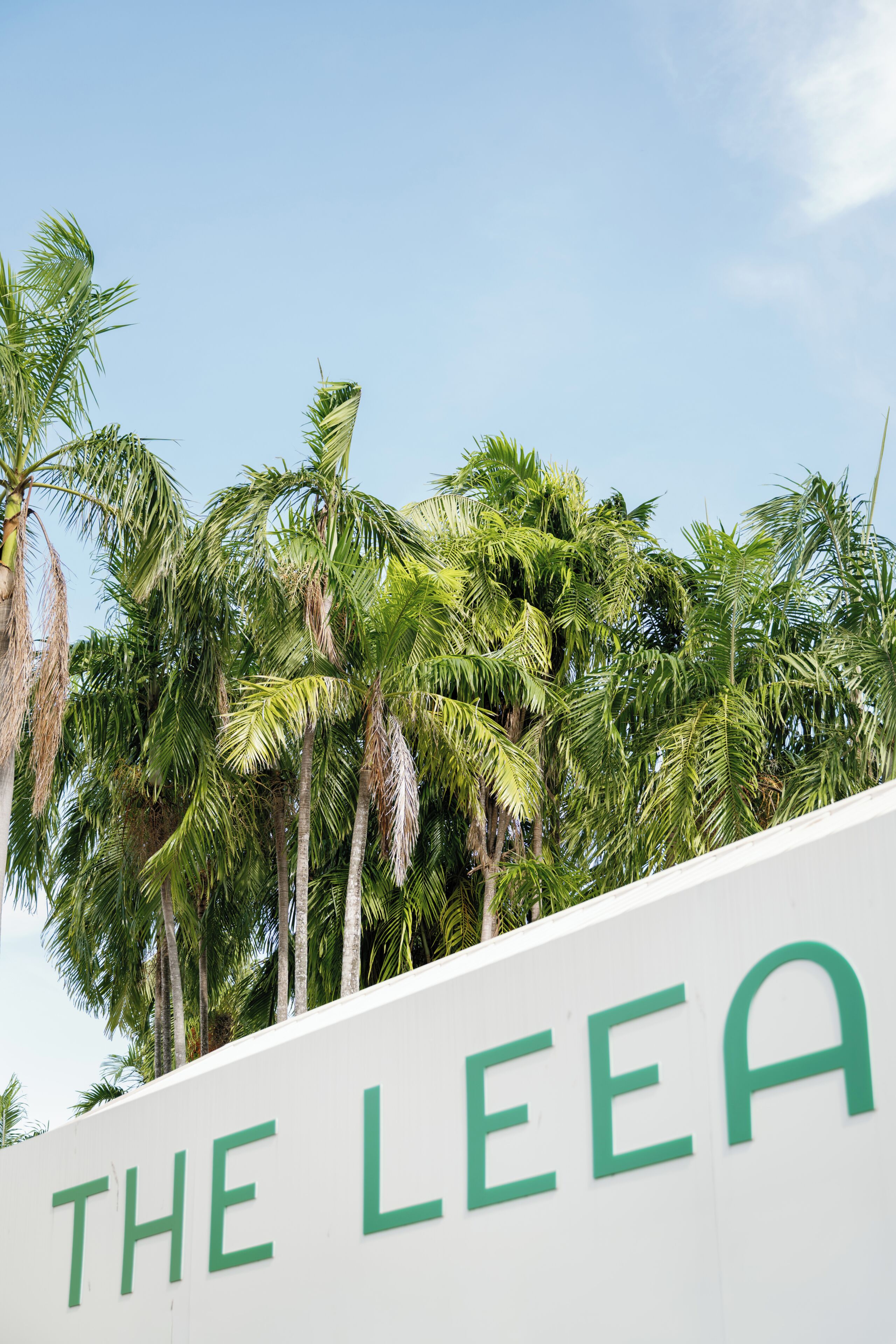 Un mur blanc sur lequel on peut lire, en lettres vertes, le texte : « THE LEEA ».