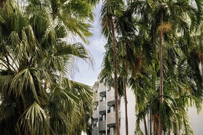 Exterior - The Leea Darwin (Darwin)