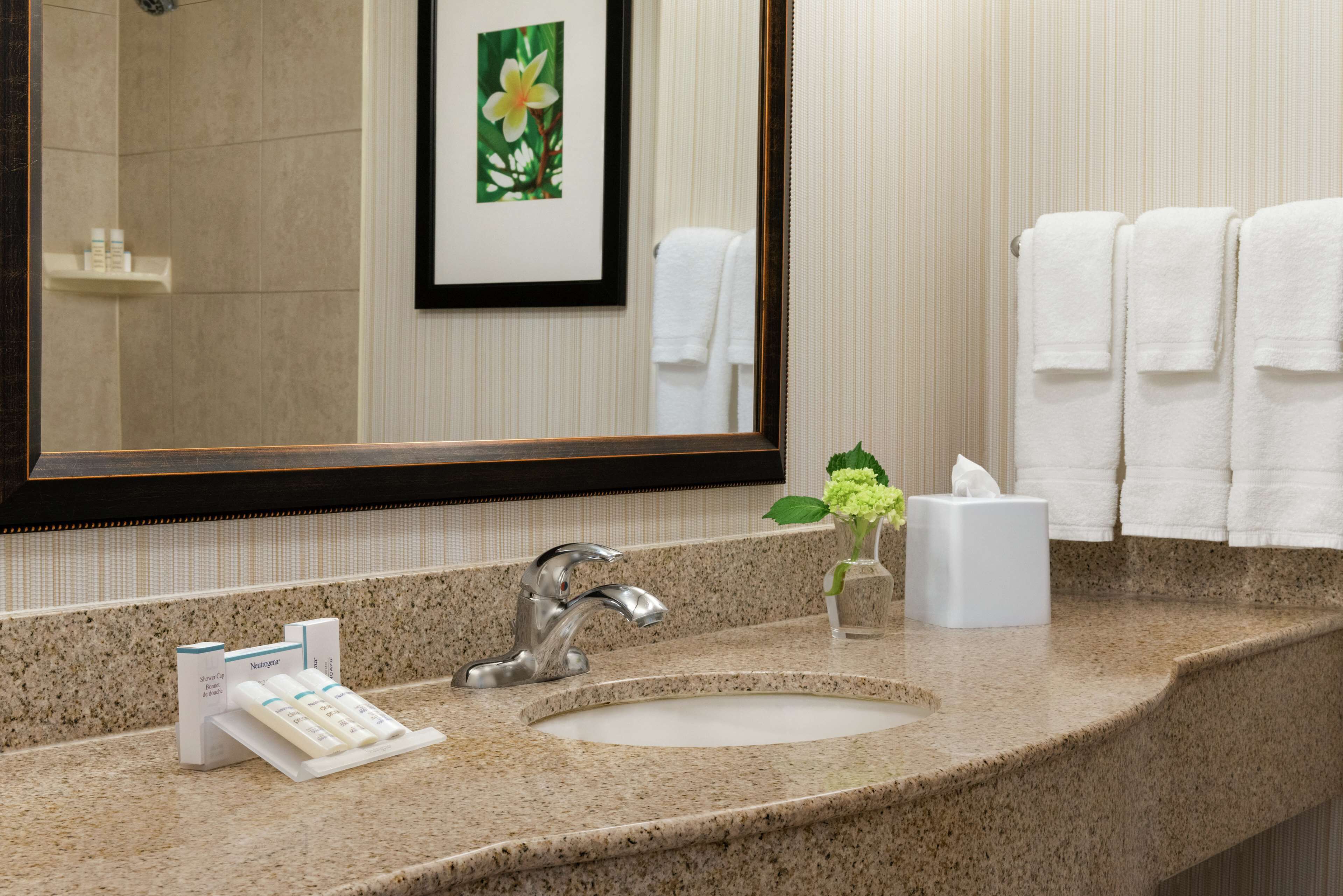 free toiletries, hair dryer, towels, soap