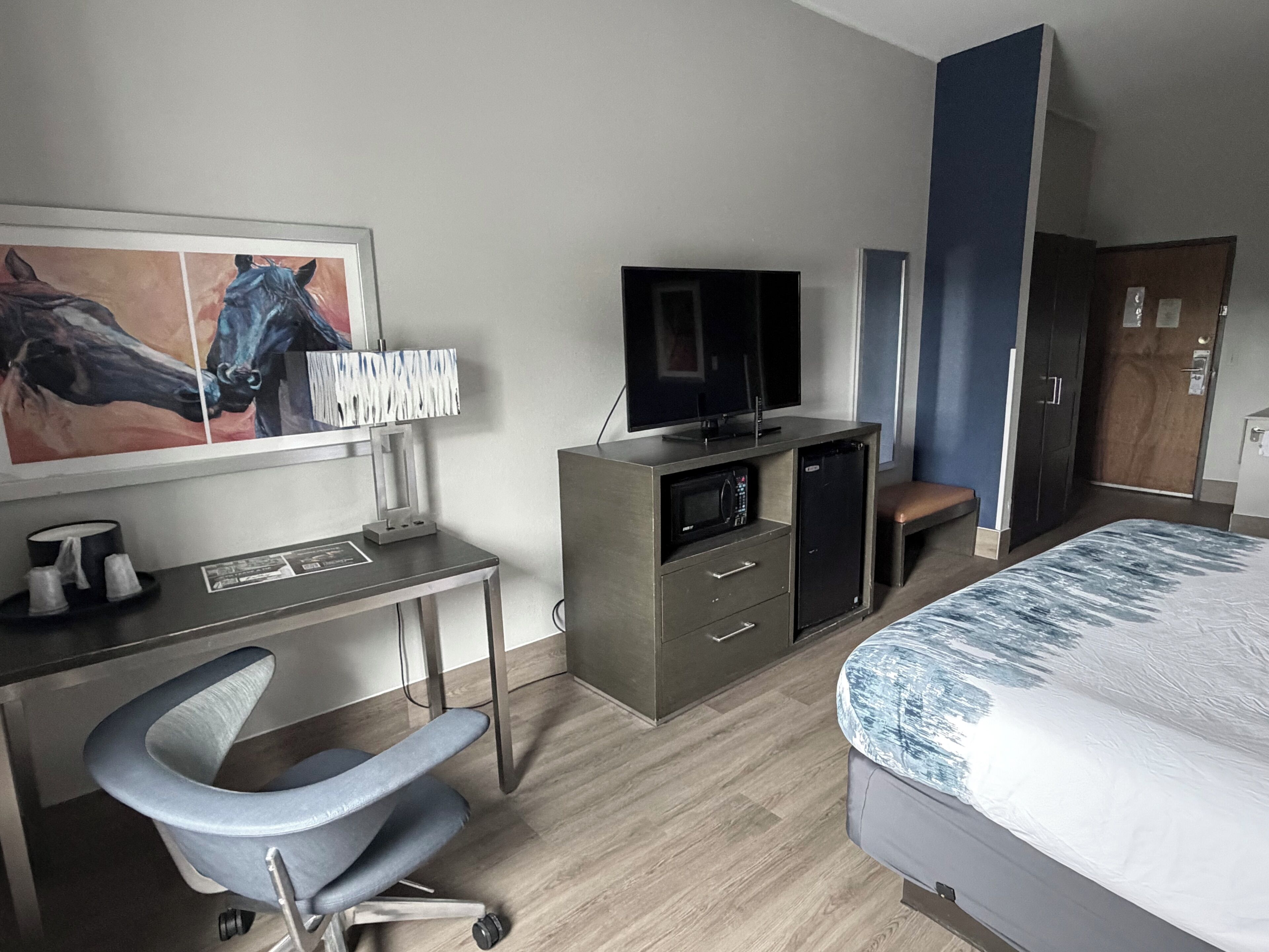 A hotel room with a bed, a desk with a chair, a television, a microwave, a wardrobe, and a painting on the wall.