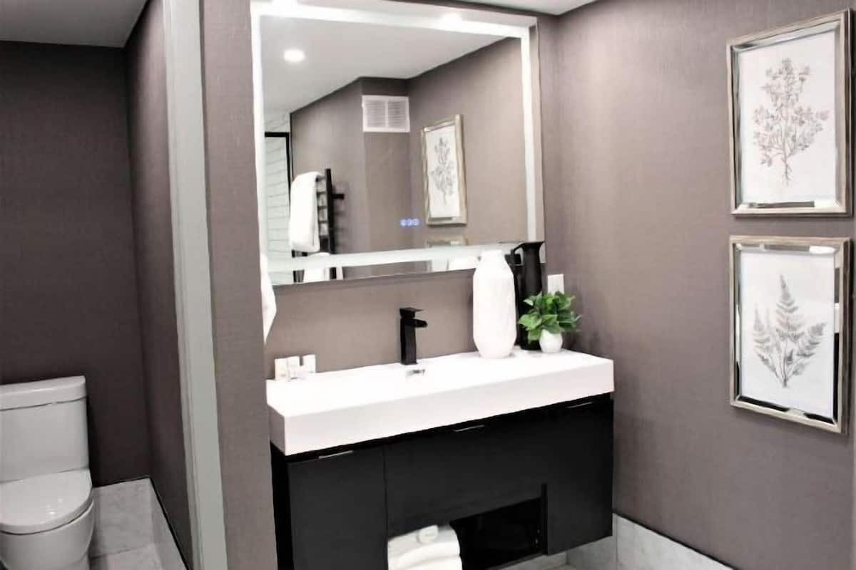 Bathroom | Combined shower/tub, rainfall showerhead, free toiletries, hair dryer