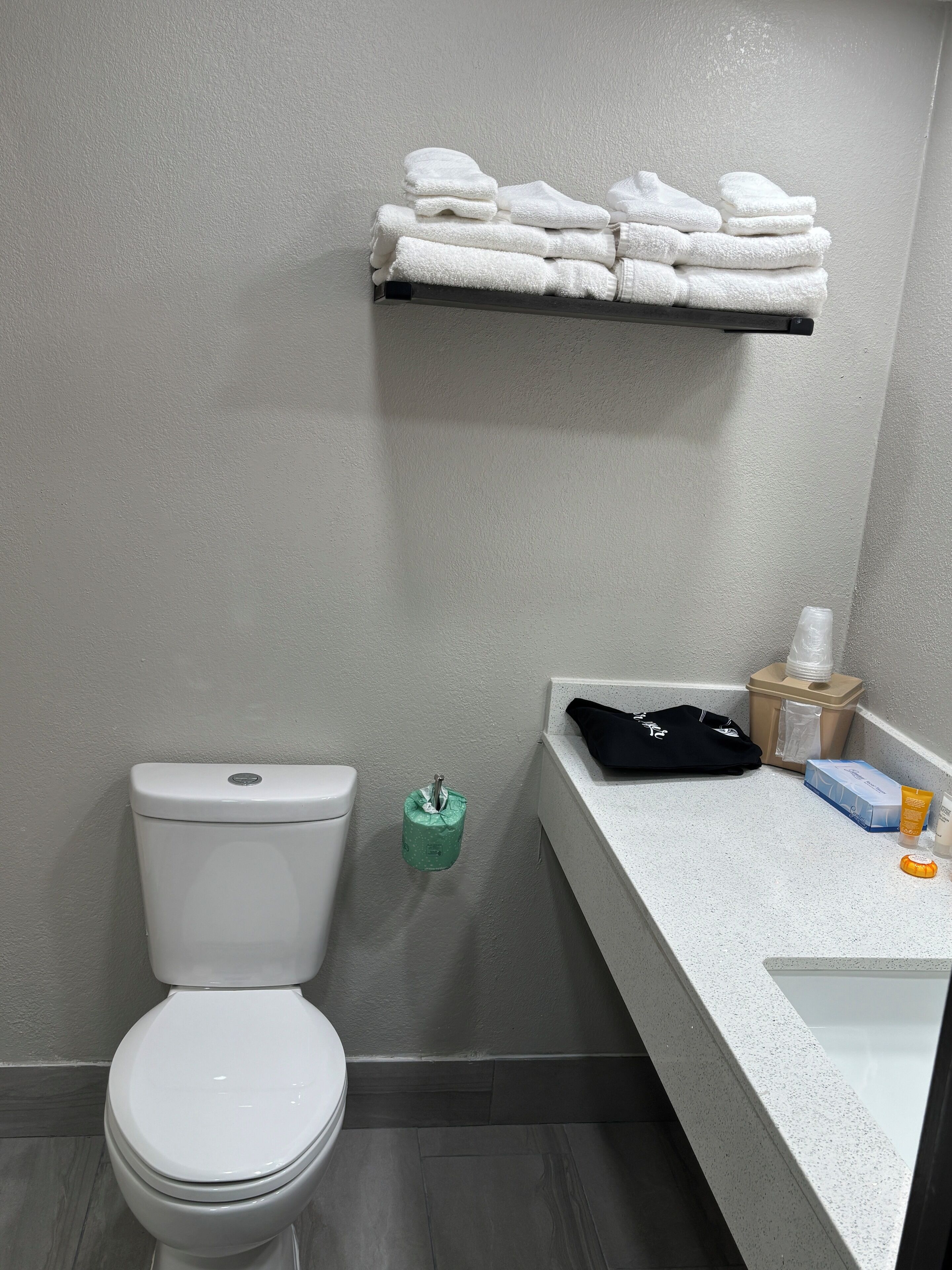 Ein Badezimmer mit Toilette, Handtuchhalter, Mülleimer und einem Waschtisch mit Pflegeprodukten.