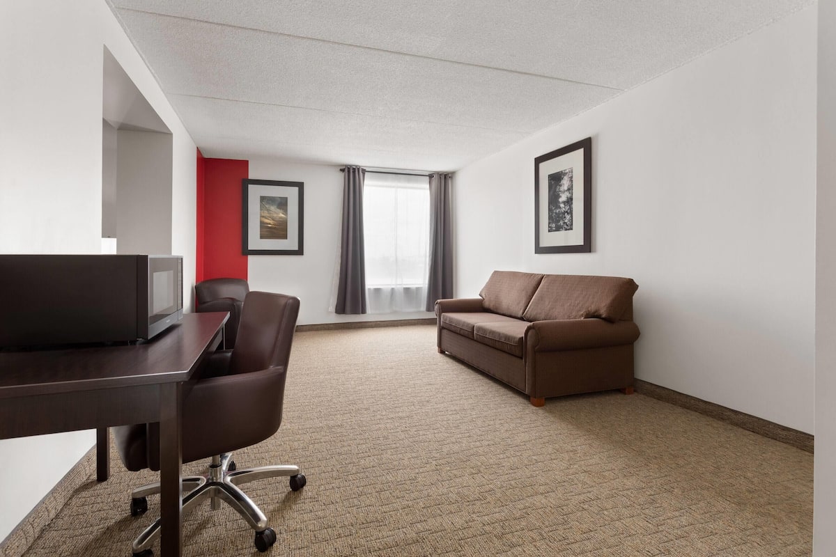 Suite monolocale, 1 letto king, non fumatori | Una scrivania, Wi-Fi gratuito, lenzuola