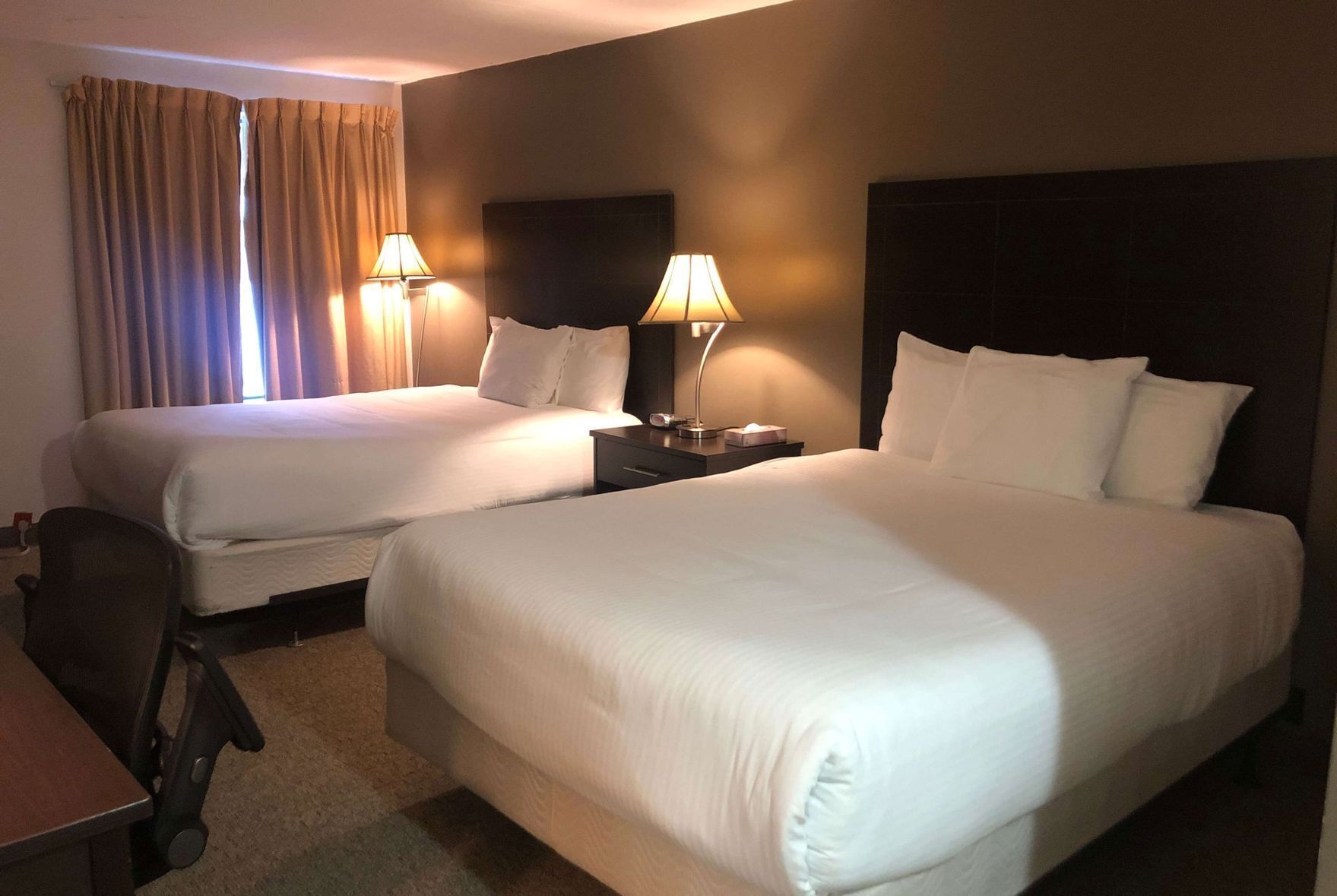 Desk, free WiFi, bed sheets