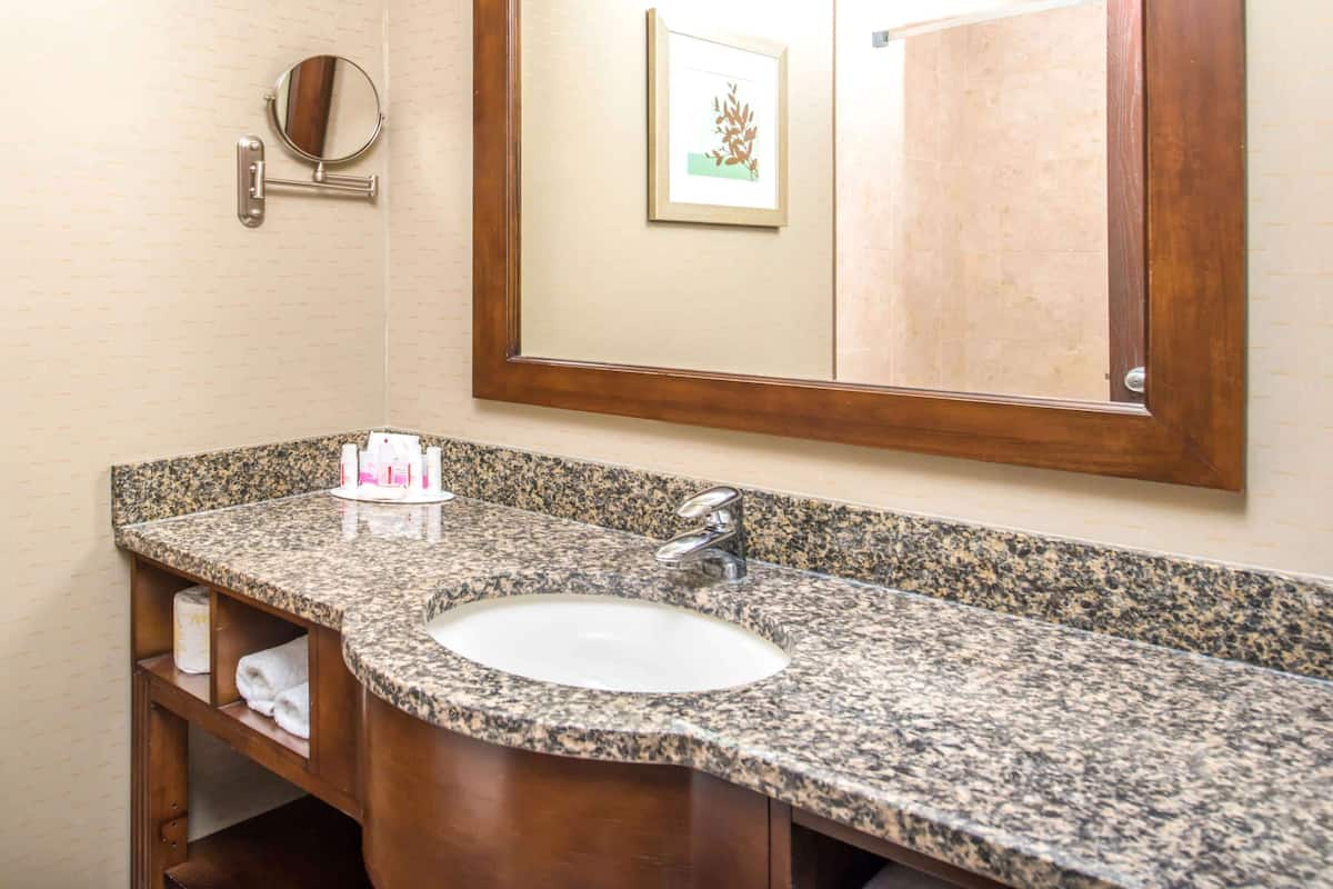 combined shower/bathtub, free toiletries, hair dryer, towels