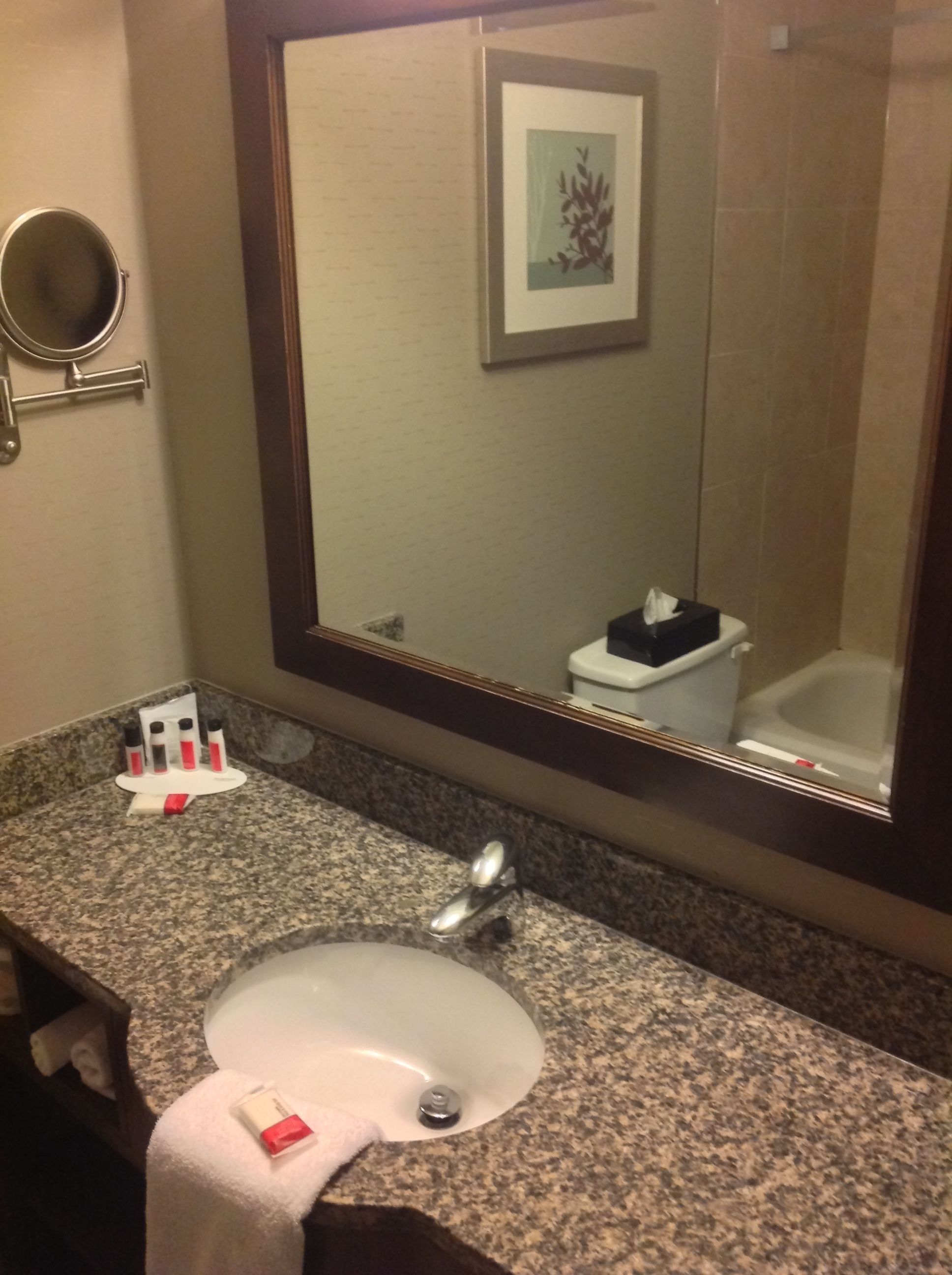 executive room, 1 king bed, non smoking | bathroom | combined shower/bathtub, free toiletries, hair dryer, towels