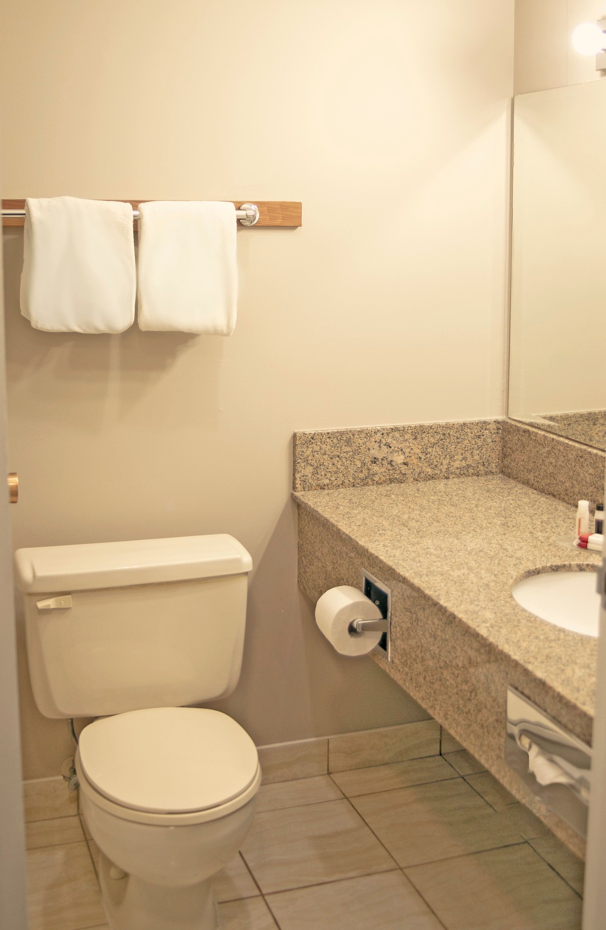 A bathroom with a toilet, a sink, and a mirror.