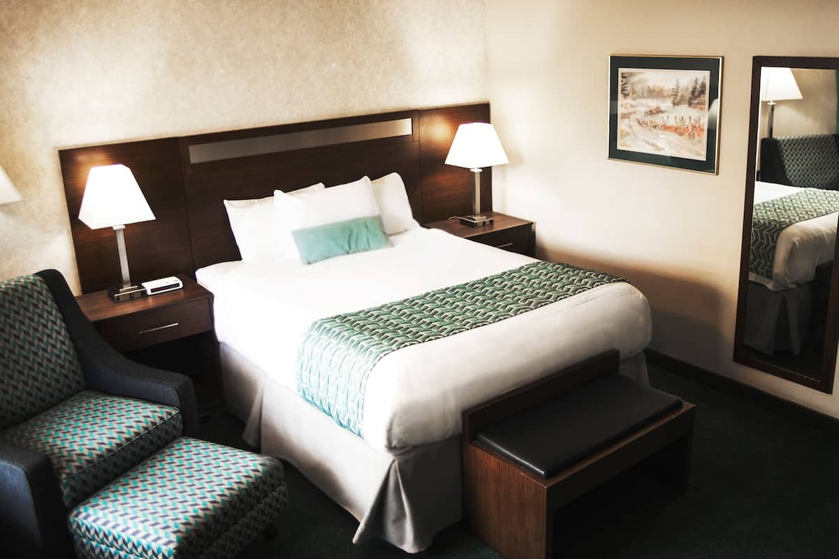 Efficiency, Deluxe Room, 1 Queen Bed, Non Smoking | Desk, soundproofing, iron/ironing board, free cribs/infant beds