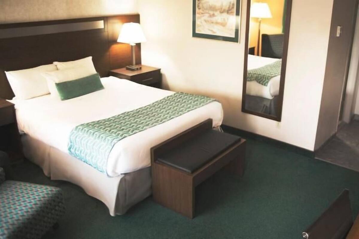 Una habitación de hotel con una cama, una mesita de noche con lámpara, un banco, un espejo y un escritorio con teléfono.