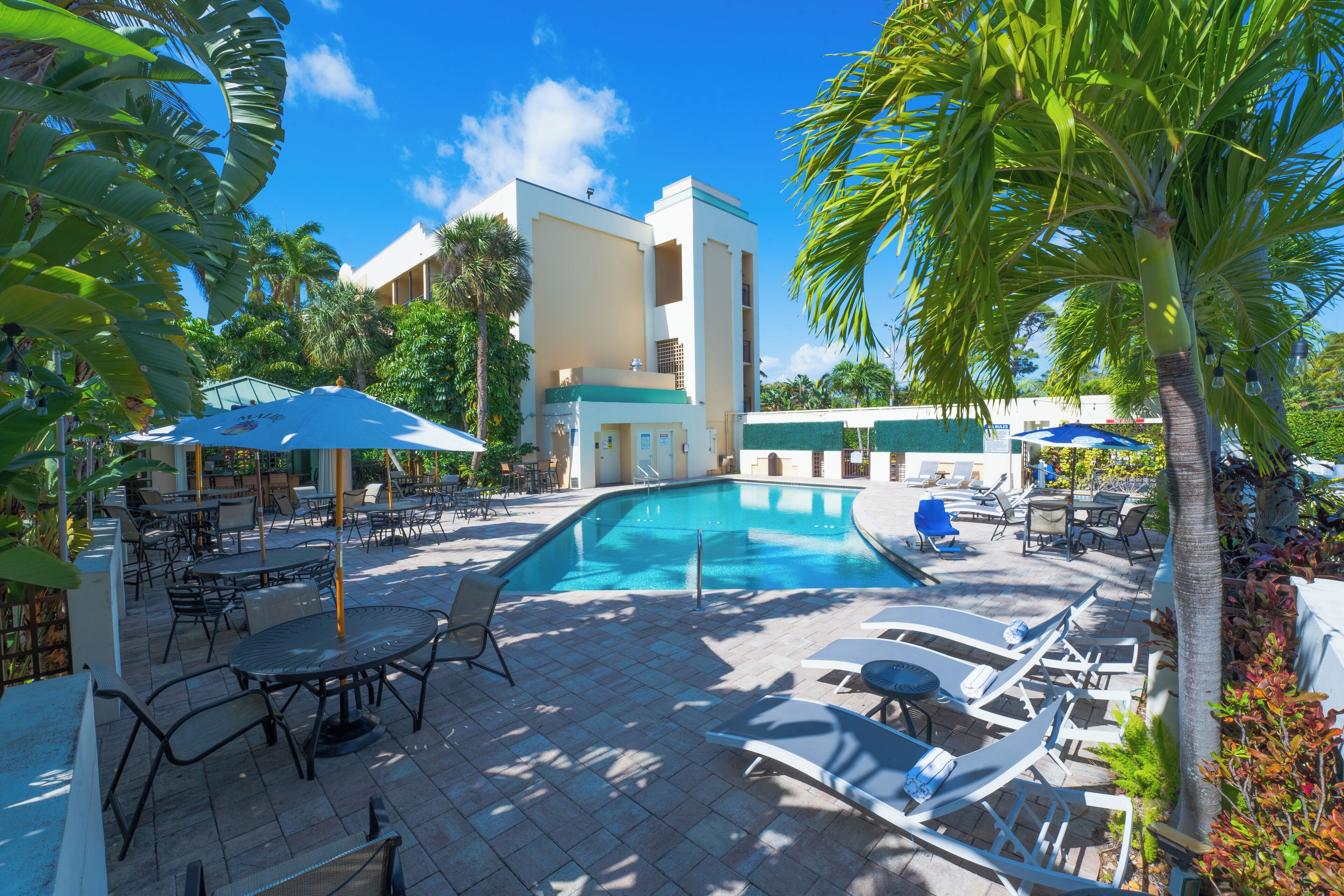 A pool area with lounge chairs and umbrellas, surrounded by palm trees and a building with a light-colored facade.