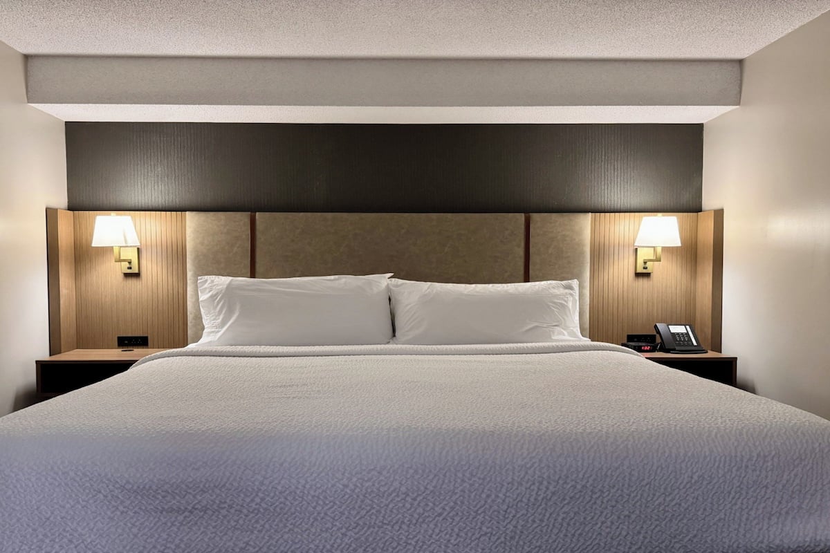Hypo-allergenic bedding, down duvets, desk, blackout curtains