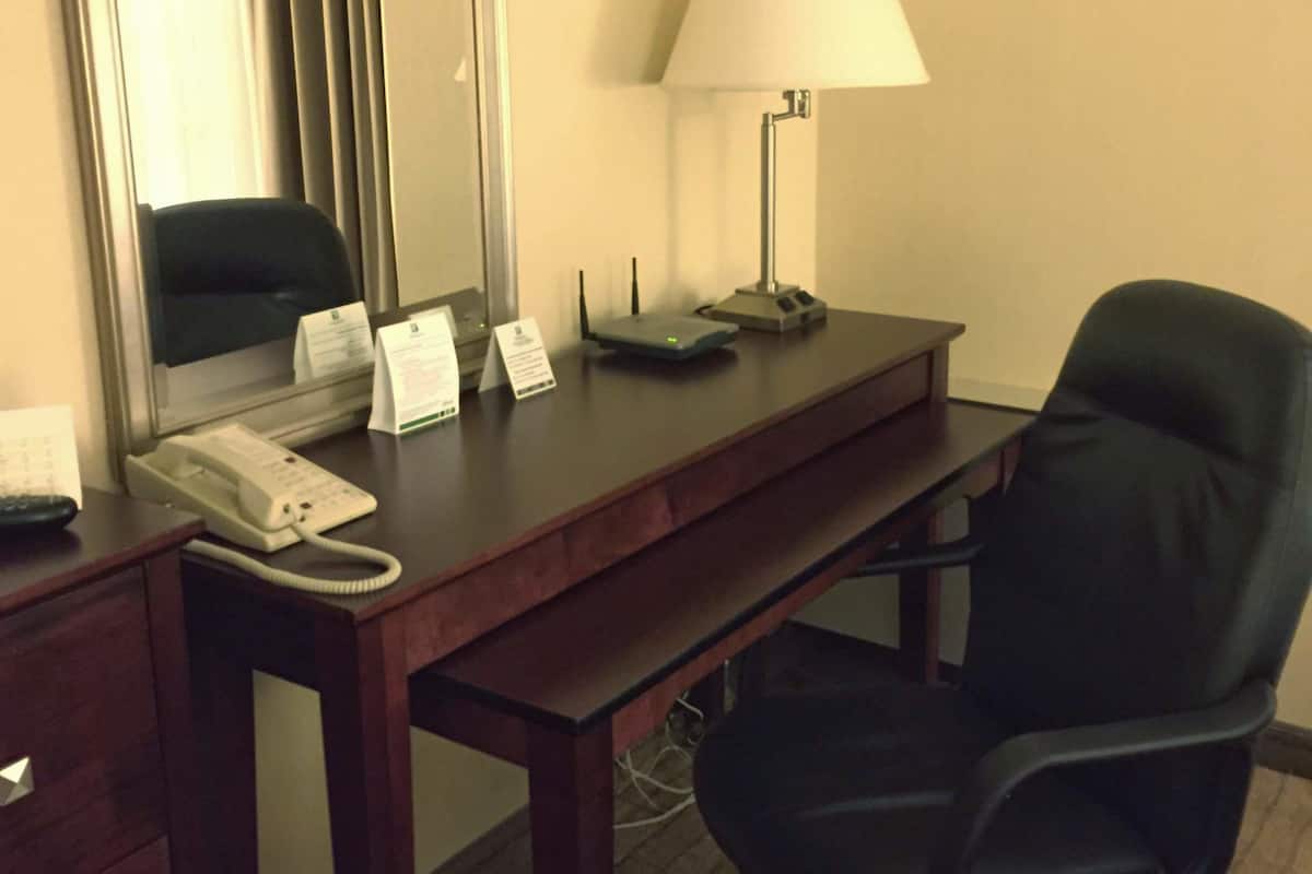 Standard Room, 1 King Bed, Accessible (Mobility, Roll-In Shower) | Hypo-allergenic bedding, pillowtop beds, desk, blackout drapes