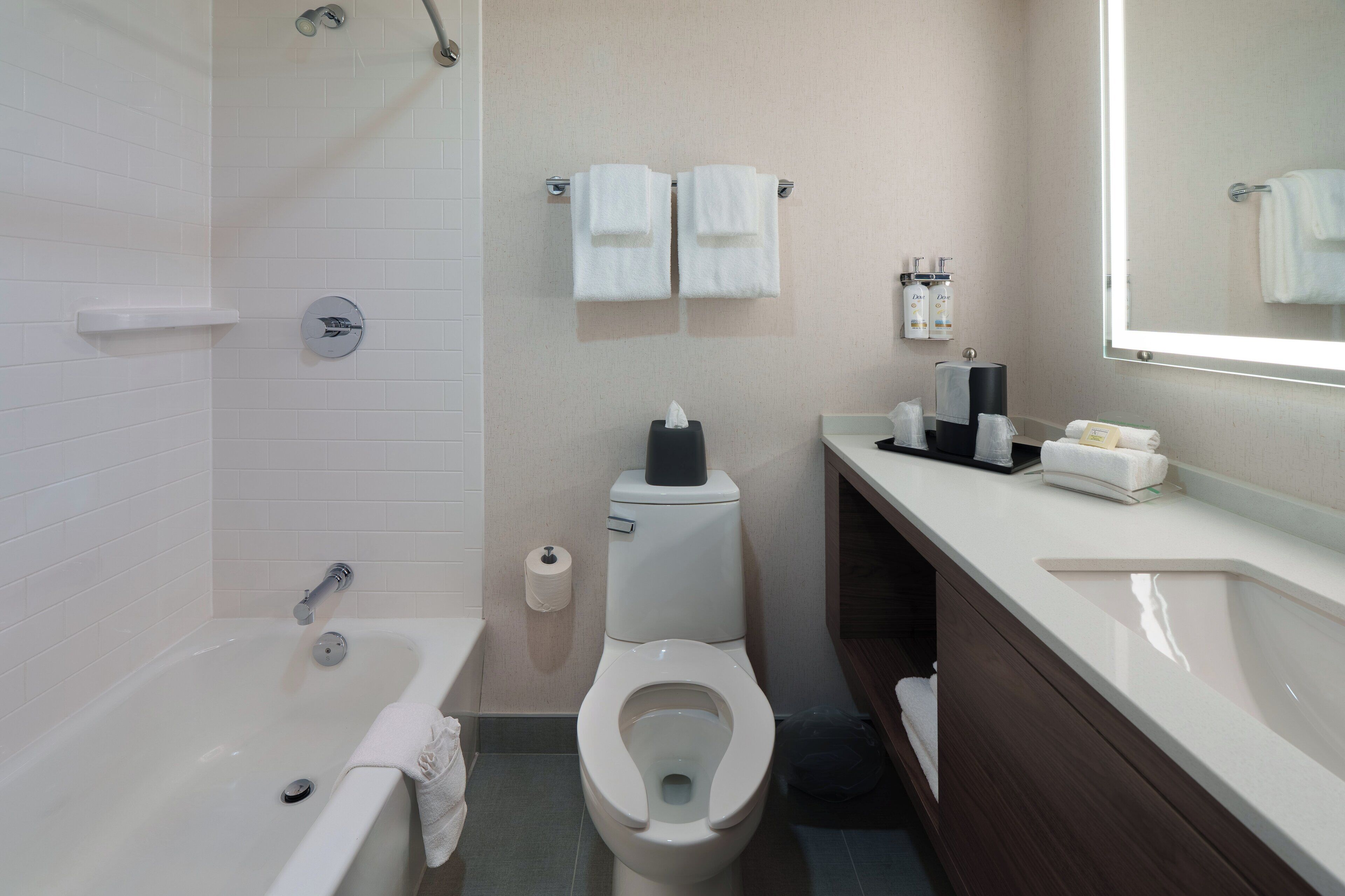 Foto - Holiday Inn Laval Montréal by IHG