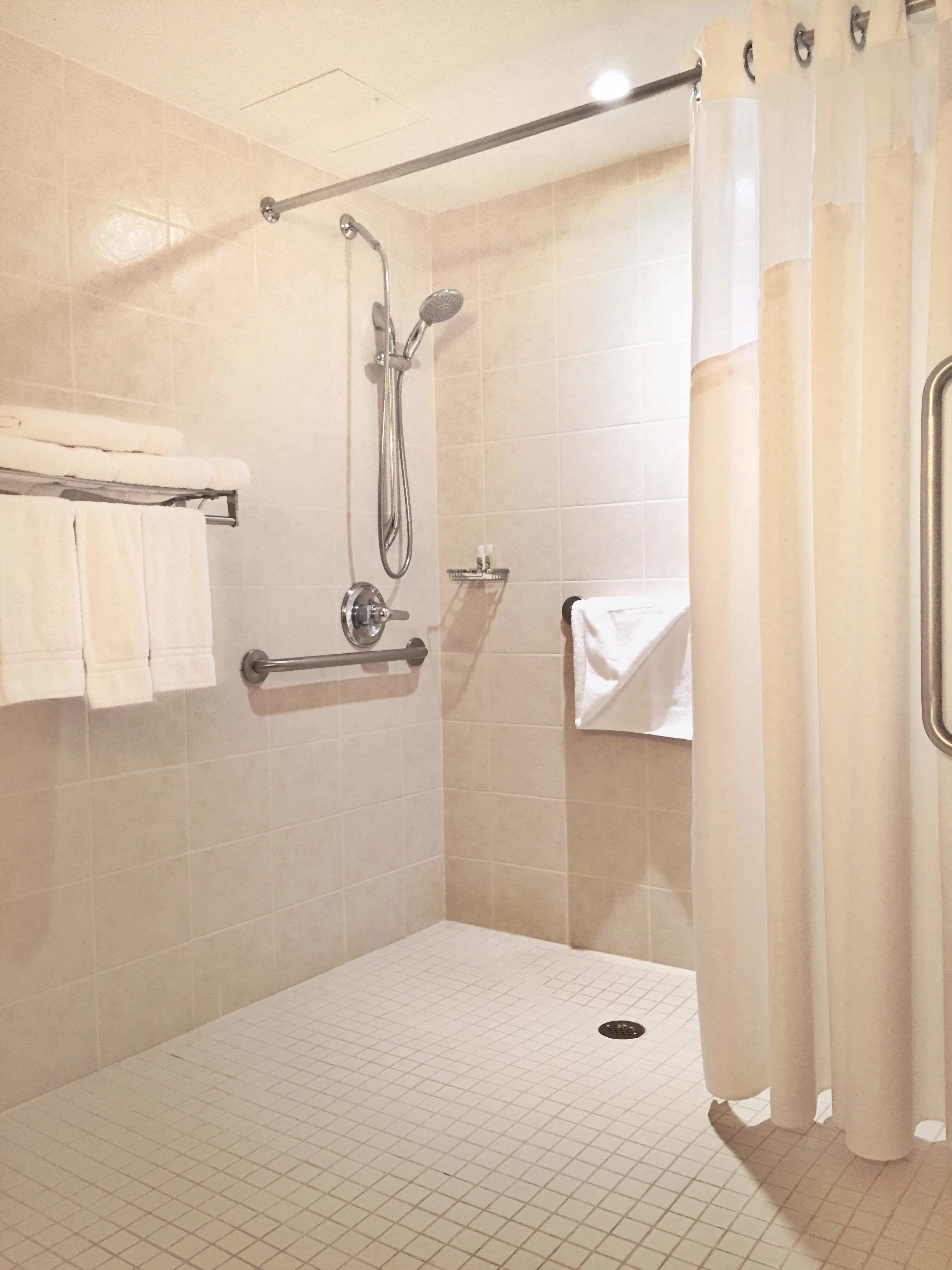 standard room, 1 king bed, accessible (mobility, roll-in shower) | bathroom shower