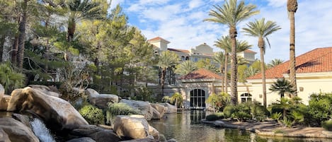 A serene garden with a pond, large rocks, and palm trees.