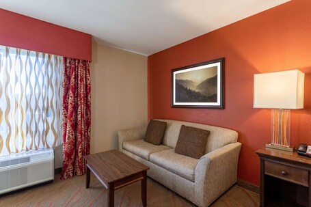 La Quinta Inn Suites by Wyndham Pigeon Forge - Image 37