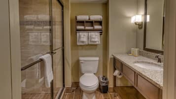 Combined shower/bathtub, free toiletries, hair dryer, towels