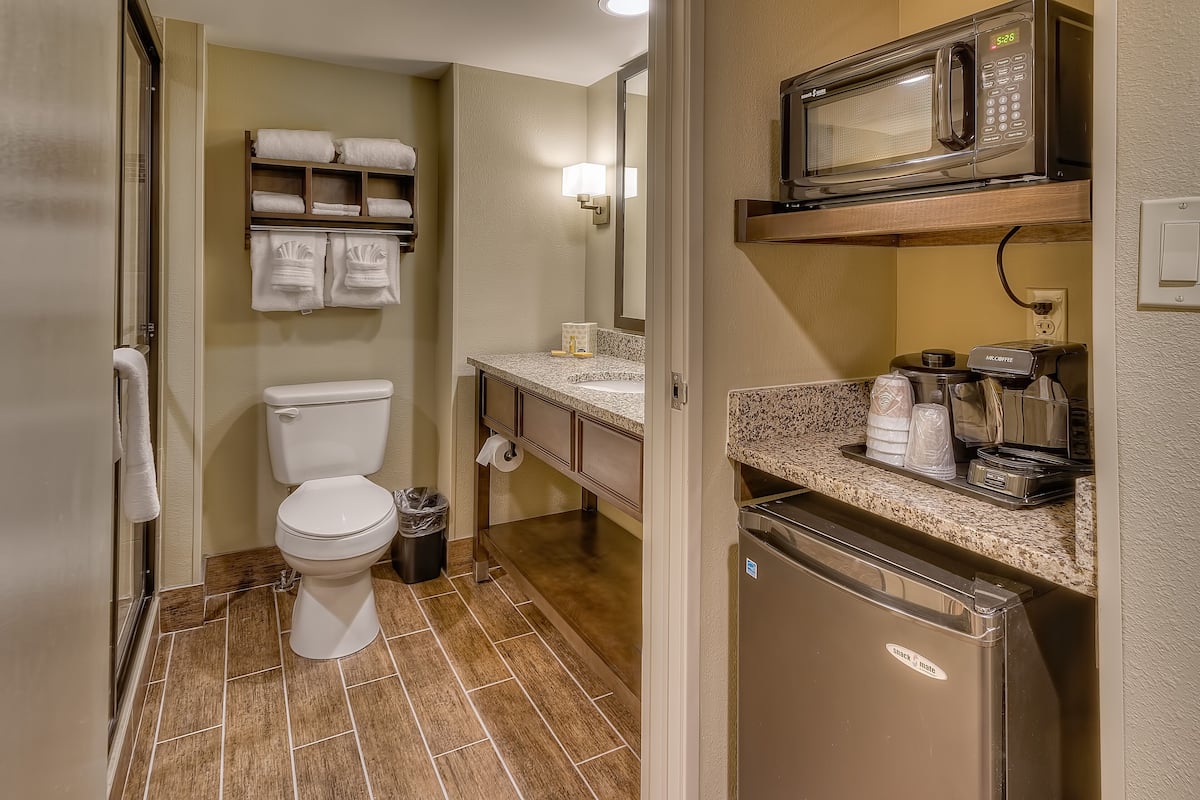 combined shower/bathtub, free toiletries, hair dryer, towels