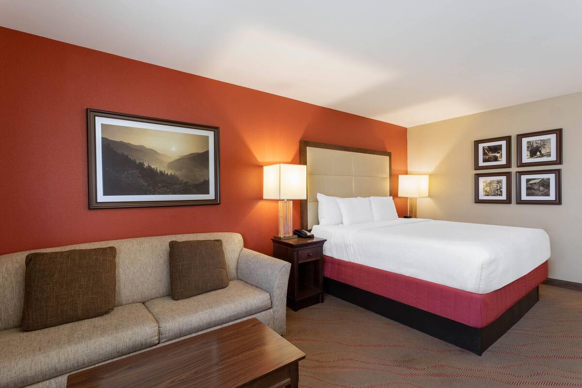 A hotel room with a bed, a sofa, a nightstand, and a lamp.