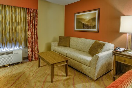 La Quinta Inn Suites by Wyndham Pigeon Forge - Image 36