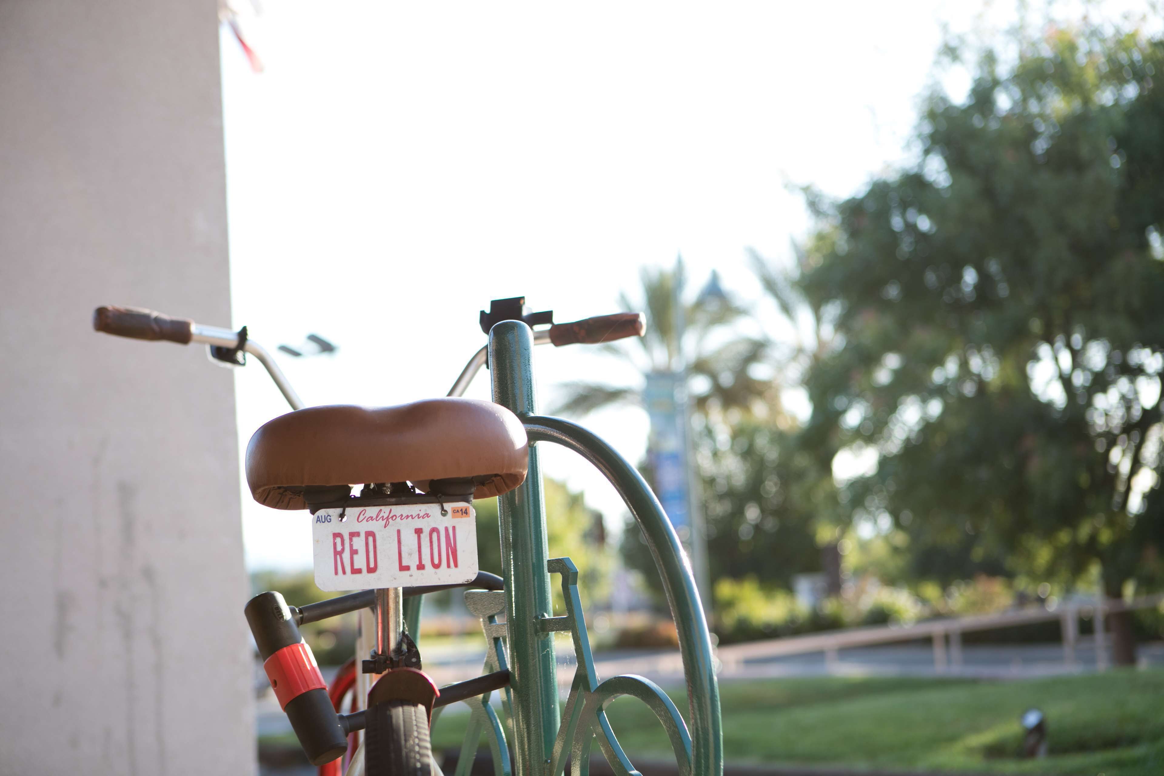 A bicycle with a license plate reading "RED LION" parked against a wall.