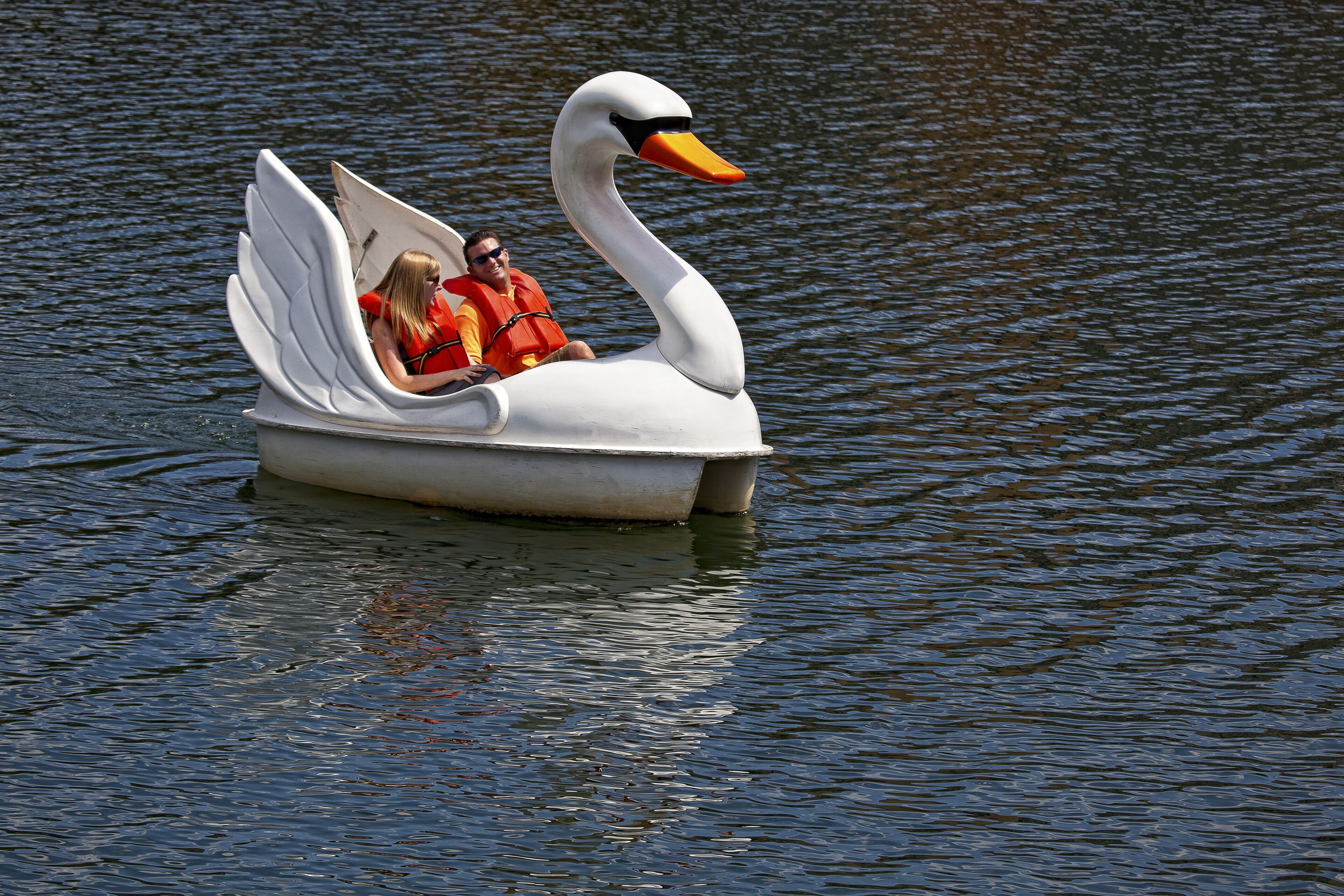 Ein schwaneähnliches Boot mit zwei Personen, die Rettungswesten tragen, auf ruhigem Wasser.
